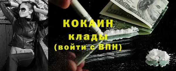 индика Каменск-Шахтинский