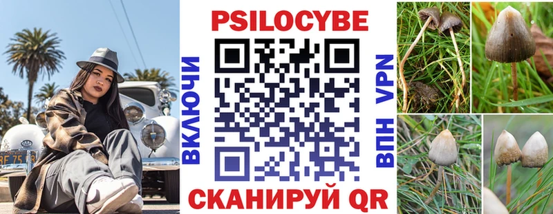 цены   OMG как зайти  Псилоцибиновые грибы Cubensis  Лысково 